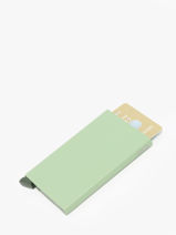 Kaarthouder Secrid Groen powder CP-vue-porte