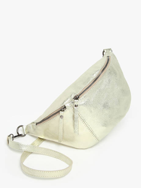 Heuptasje Milano Goud nine NI24062 ander zicht 2