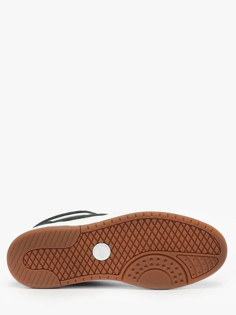 Sneakers Uit Leder Vans Groen men D6SQSU1 ander zicht 5
