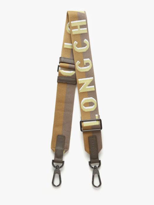 Longchamp Bandoulière ombrée Juwelen Groen