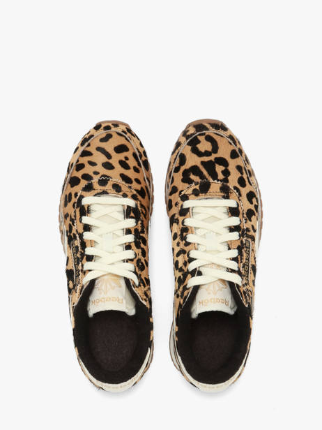 Sneakers Reebok Bruin women 255853 ander zicht 3